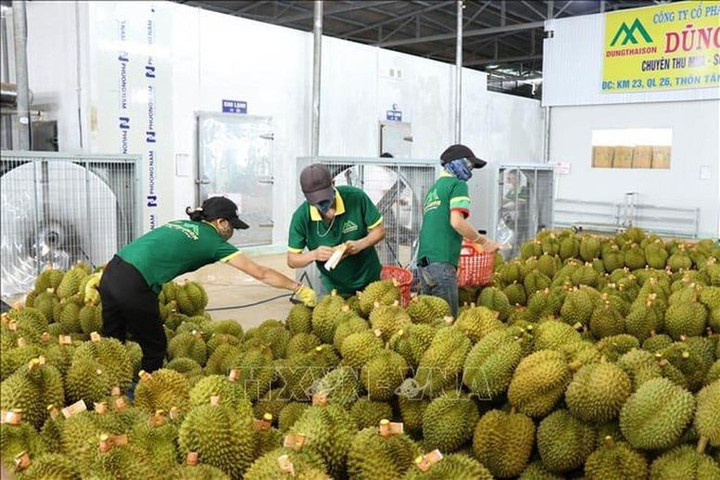 Giải mã thị trường Trung Quốc