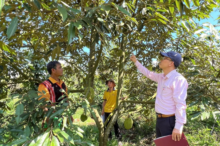 Chư Sê nâng cao hiệu quả tín dụng chính sách trong giai đoạn mới