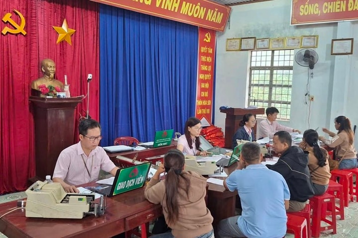 Tín dụng chính sách góp sức tăng nguồn lực, giảm hộ nghèo trên vùng cao Chư Pưh