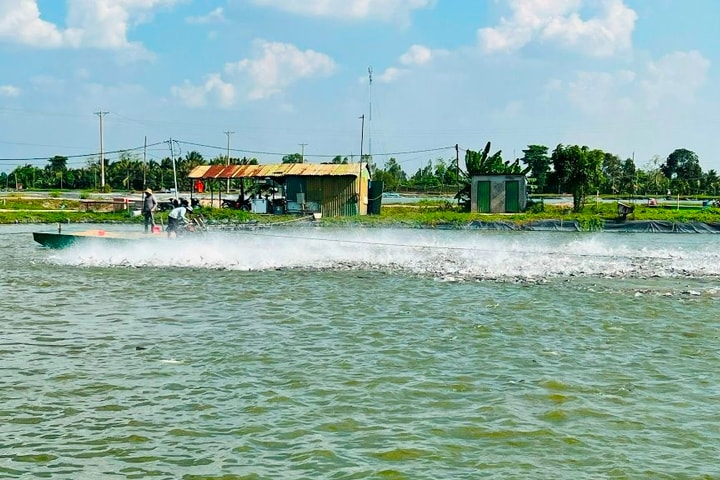 Ngành Ngân hàng Khu vực 15: Đẩy mạnh tín dụng “tam nông”