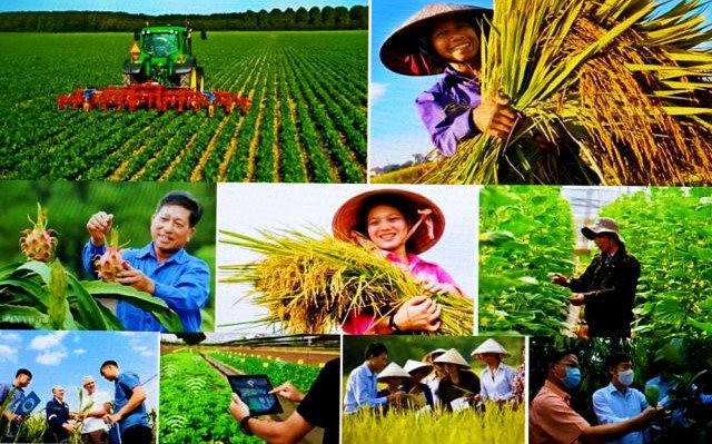 Mức hỗ trợ phí bảo hiểm nông nghiệp tăng, phạm vi bảo hiểm mở rộng