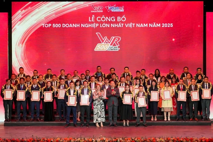 Vinh danh 500 doanh nghiệp lớn nhất Việt Nam năm 2025