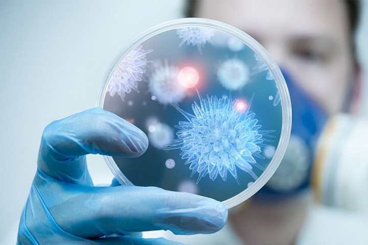 Việt Nam chưa ghi nhận trường hợp mắc bệnh do virus Nipah