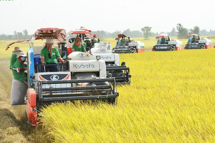 Dòng vốn ưu đãi đổ vào nông nghiệp: Bơm đúng mạch, tạo lực cho tăng trưởng