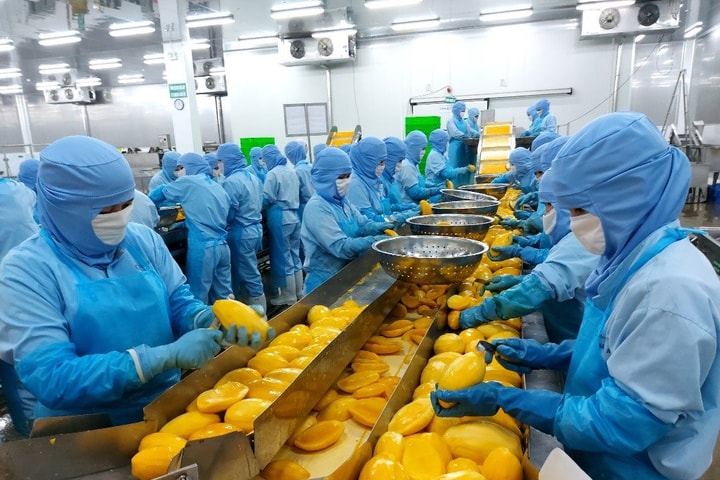 Khi dòng vốn ngành Ngân hàng Khu vực đi đúng, lợi thế vùng phát triển