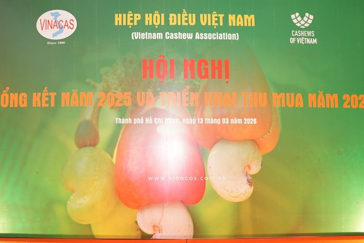Sản lượng điều thế giới tăng, doanh nghiệp Việt thận trọng mua nguyên liệu