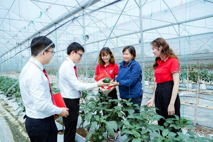 Lan tỏa dòng vốn giá rẻ, Agribank tạo động lực mới cho tăng trưởng