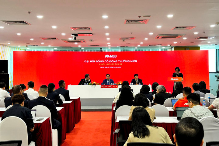ĐHĐCĐ MSB: Mục tiêu lãi 8.000 tỷ đồng, kỳ vọng định giá TNEX Finance 1-2 tỷ USD trong 5-7 năm tới