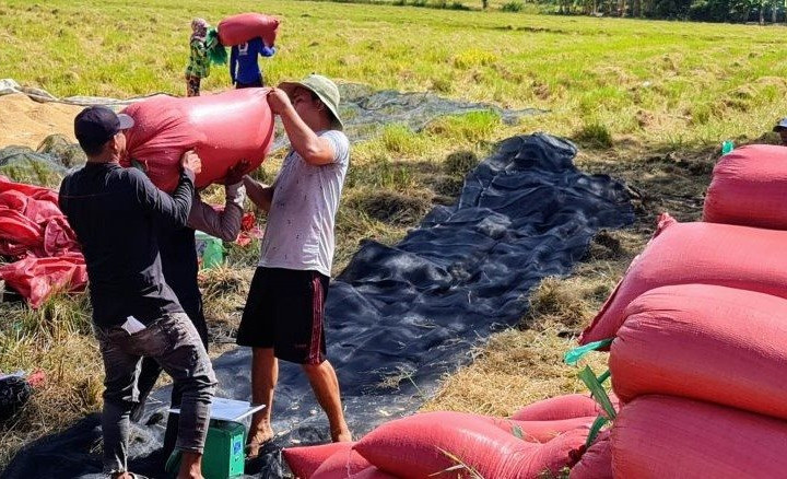 ‏Dòng chảy tín dụng tiếp sức kinh tế hợp tác xã An Giang phát triển‏
