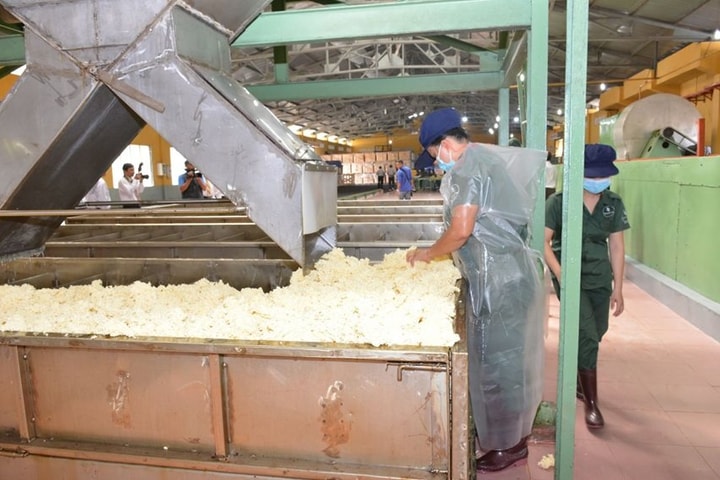 Giá cao su thế giới lên cao nhất 9 năm do giá dầu tăng mạnh