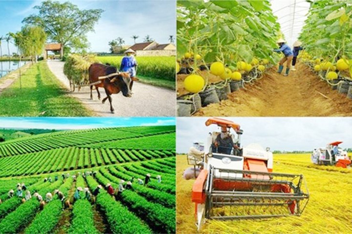 Thành lập Ban Chỉ đạo Trung ương thực hiện các Chương trình mục tiêu quốc gia