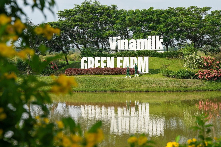 Vinamilk mang về nguồn thu lớn cho SCIC, giá trị đầu tư tăng 71 lần sau cổ phần hóa