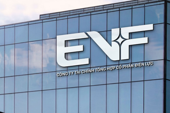 EVF ghi nhận lợi nhuận 6 tháng đầu năm 2026 tăng gần 16,9%