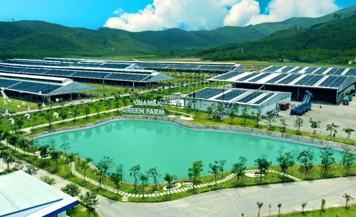 Khi một công ty sữa Việt chuyển hóa niềm tin thương hiệu thành tài sản 2,6 tỷ USD