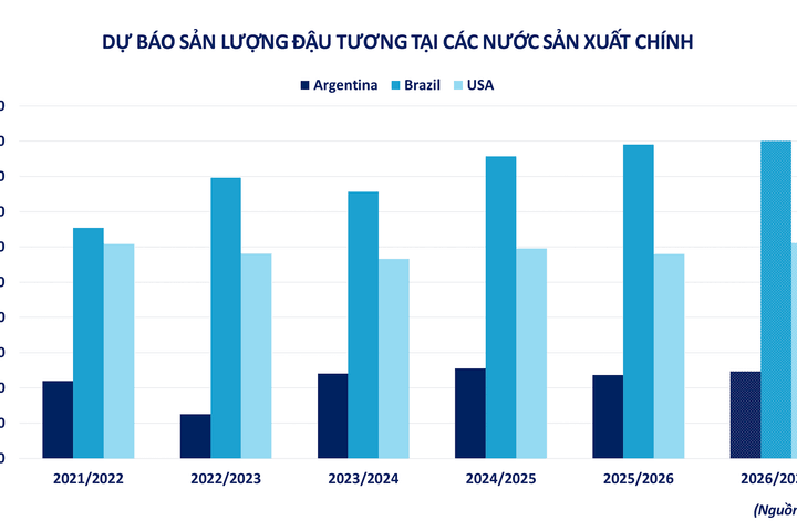 Thị trường nông sản, cà phê liên tục tăng trước sức ép thiếu nguồn cung