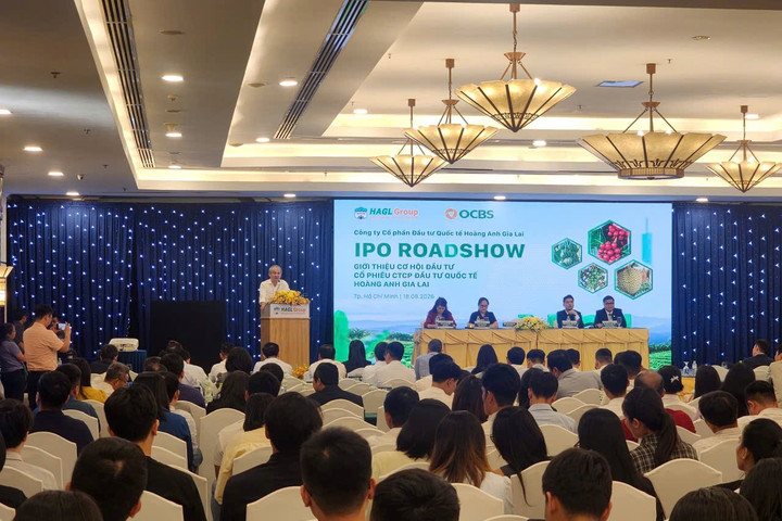 Roadshow IPO HGI: Bầu Đức cam kết cổ tức tiền mặt 50%/năm, hé lộ "quân bài chiến lược" cà phê Arabica tại Lào