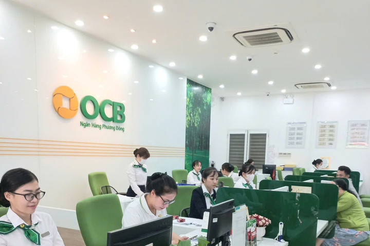 Lực đẩy tín dụng: Thêm động lực cho tăng trưởng hai tỉnh An Giang và Cà Mau